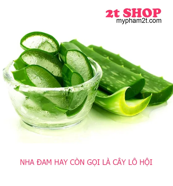 Gel Trị Mụn Nha Đam Chiết Xuất Thiên Nhiên