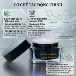 Kem Trị Mụn Thâm Acne – Giảm Mụn, Mờ Thâm Hiệu Quả 8 Cơ Chế Tác Động Kem Trị Mụn Thâm Acne Prevention: Salicylic Acid Làm Sạch Sâu, Niacinamide &Amp; Cam Thảo Hỗ Trợ Giảm Thâm Pih, Centella Phục Hồi Hàng Rào Da