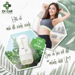 Cao lá rừng Dr Cell đốt cháy tế bào mỡ thừa, bí quyết sở hữu vòng eo lý tưởng