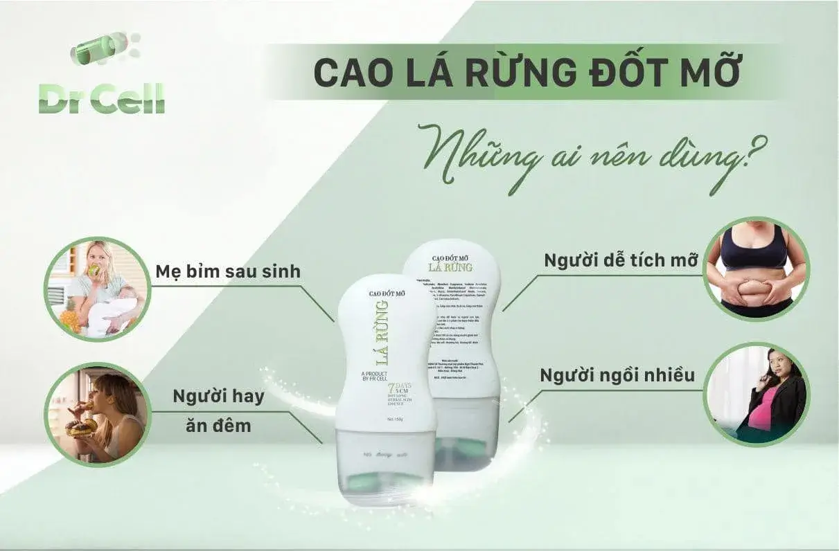 Các Đối Tượng Nên Sử Dụng Cao Lá Rừng Dr Cell Giảm Mỡ Bụng Bao Gồm Mẹ Bỉm Sau Sinh Và Người Tích Mỡ