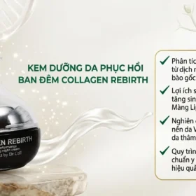 Chi Tiết Thành Phần Kem Collagen Rebirth Dr Cell. Phân Tích Cơ Chế Tái Tạo Da Từ Dịch Nhầy Ốc Sên, Tế Bào Gốc Táo