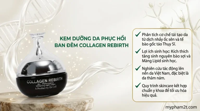 Thành Phần Kem Collagen Rebirth Dr Cell: Phân Tích Chuyên Sâu Từng Hoạt Chất &Amp;Amp; Cơ Chế Tái Tạo Da