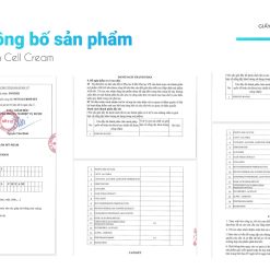 Giấy Công Bố Sản Phẩm Kem Đêm Heshi Reborn Cell Cream Chính Hãng
