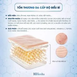 Tế Bào Gốc Placenta Heshi Serum  Tái Tạo Làn Da Trẻ Hóa Mạnh Mẽ 2