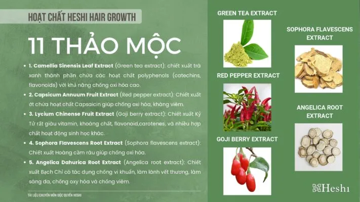 Xịt Dưỡng Tóc Heshi Hair Growth Kích Thích Mọc Tóc 3