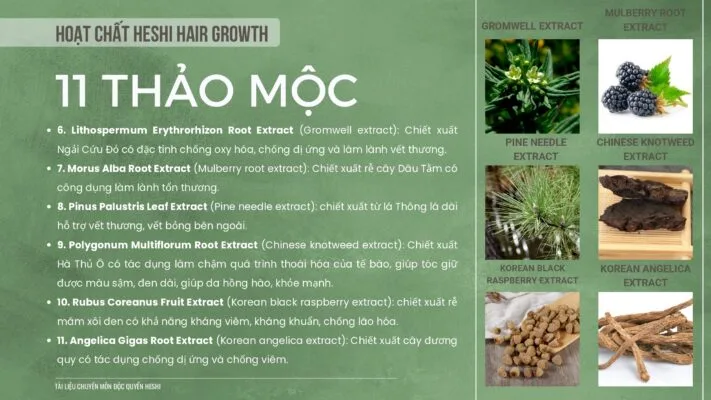 Xịt Dưỡng Tóc Heshi Hair Growth Kích Thích Mọc Tóc 4