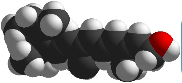 Vitamin A Retinol
