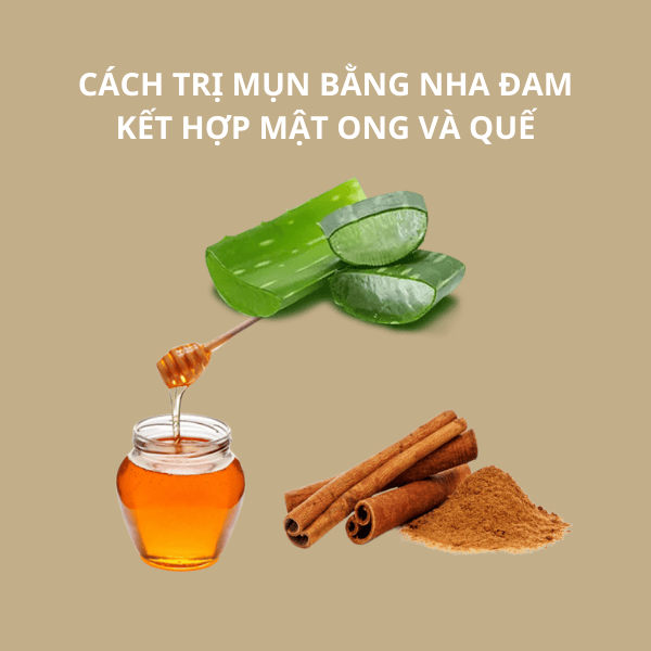 Giảm mụn bằng nha đam kết hợp với mật ong và quế