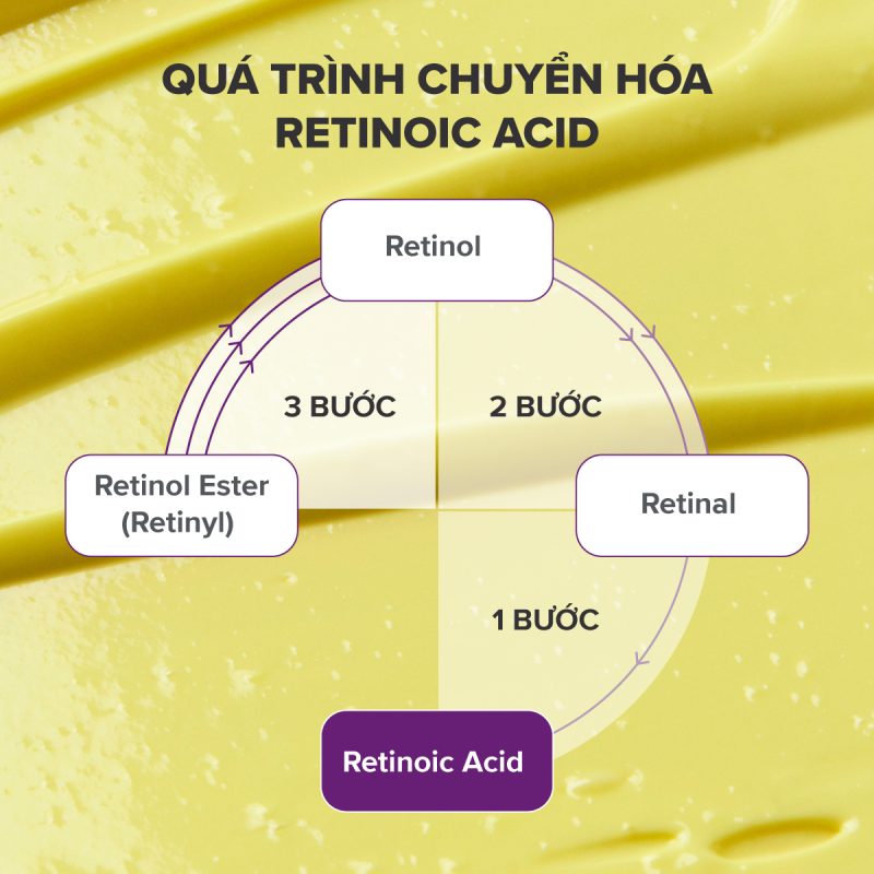 Quá trình chuyển hóa retinoic acid