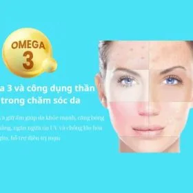 Omega 3 Là Gì? Công Dụng Của Omega 3 Trong Chăm Sóc Da Làm Đẹp