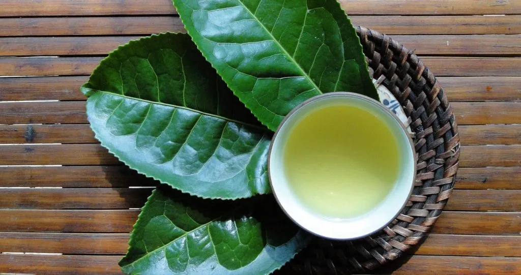 Nước Trà Xanh
