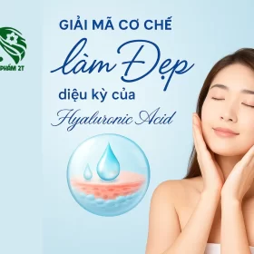 cơ chế hoạt động hyaluronic acid