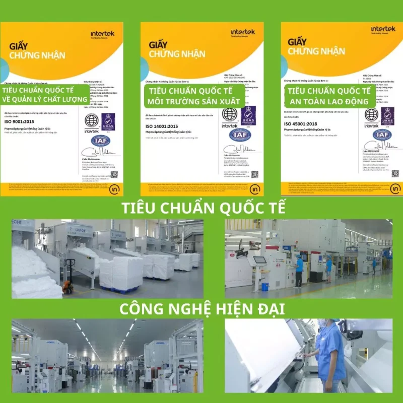 Bông Tẩy Trang Mns 180 Miếng Cotton Tự Nhiên – Mềm Mịn, Không Xơ Bông 11 Bông Tẩy Trang Mns Đạt Tiêu Chuẩn Iso 9001 Và Chứng Nhận Quốc Tế Từ Intertek