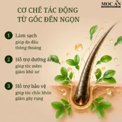 Cơ Chế Tác Động Của Xịt Dưỡng Tóc Tinh Dầu Bưởi Mộc Ân Từ Gốc Đến Ngọn Tóc