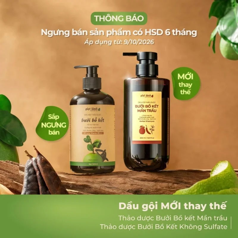 Combo Gội Xả Giọt Lành Có “Lành” Với Tóc Rụng, Tóc Khô? 7 Thông Báo Giọt Lành Ngừng Bán Dầu Gội Hsd 6 Tháng Từ 9/10/2026, Bản Bưởi Bồ Kết Cũ Và Bản Mần Trầu Mới