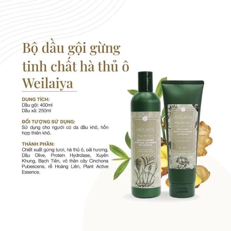 Đánh Giá Bộ Dầu Gội Xả Weilaiya Có Tốt Không Sau 4 Tuần Trải Nghiệm 2 Dau Goi Weilaiya Gung Co Thanh Phan Gi Va Dung Tich Chi Tiet