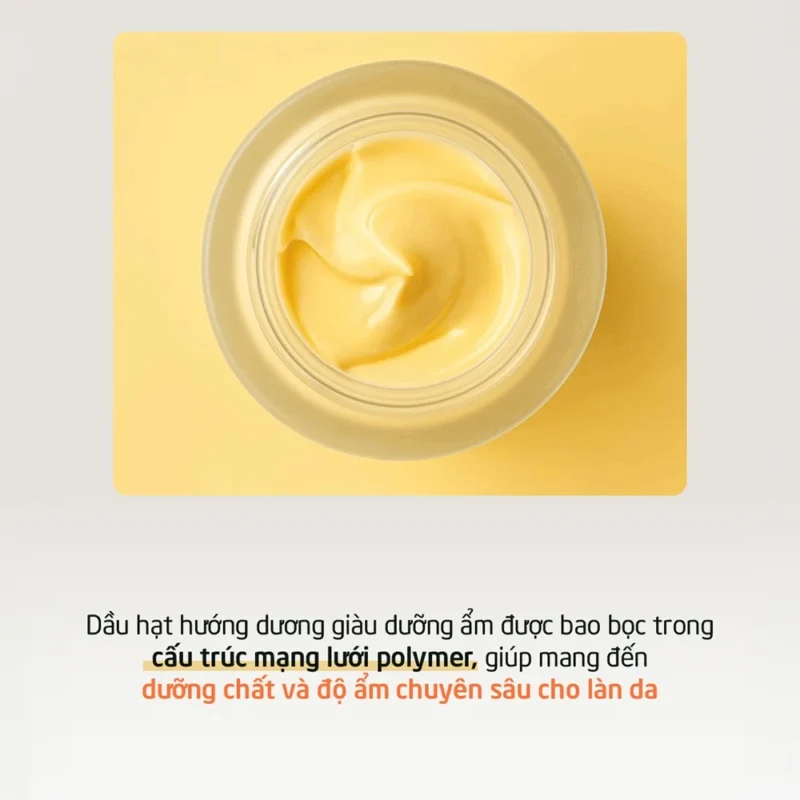Mặt Nạ Ngủ Belif Có Tốt Không? Review Thực Tế Sau Sử Dụng 3 Kết Cấu Mặt Nạ Ngủ Dưỡng Ẩm Belif Dạng Kem Bơ